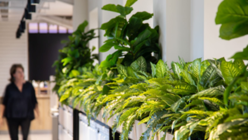 Reasons Behind the Increasing Popularity of Artificial Commercial Plants & Trees